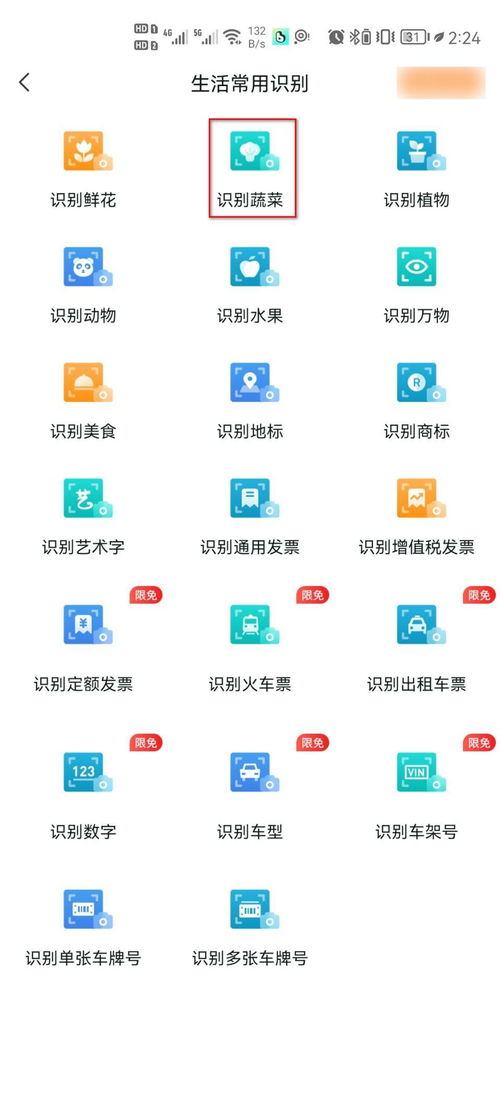 识别蔬菜软件有哪些？这几个软件不容错过